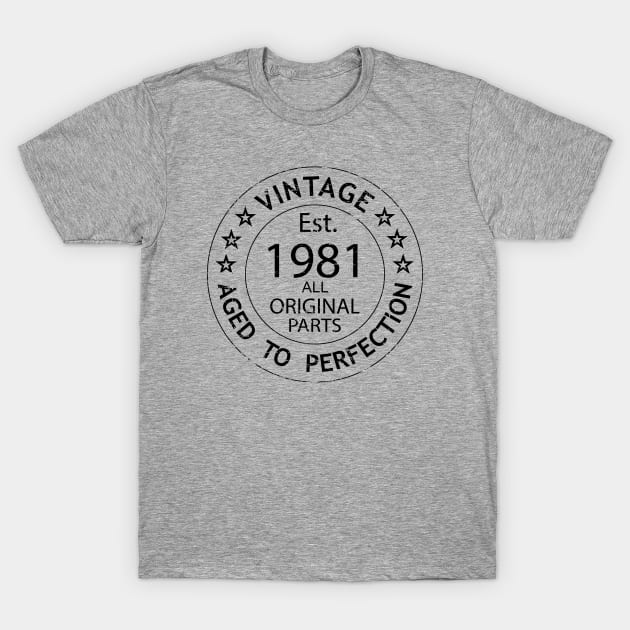 Vintage 1981, 42nd Birthday Party, 42nd Birthday Gift, 42nd Birthday Best Friend, Est 1981 T-Shirt by UranusArts